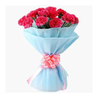 Bouquet of 12 pink carnations 