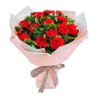 Bouquet of 20 red carnations 