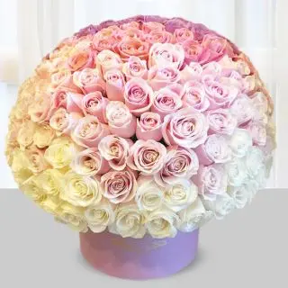 Box arrangement of 200 mix colour roses 