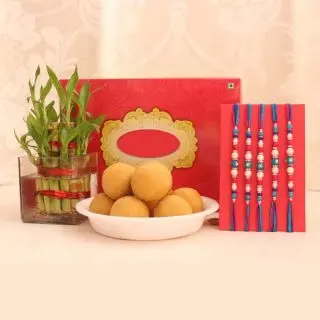 Box of half kg beasn laddoo, set of 5 rakhis, 2 layer lucky bamboo plant 