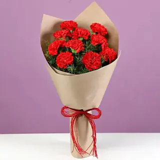 20 Red carnation Bunch