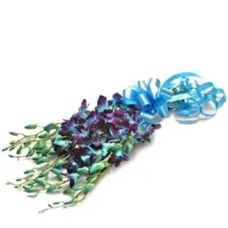 Bunch of 10 Blue orchids