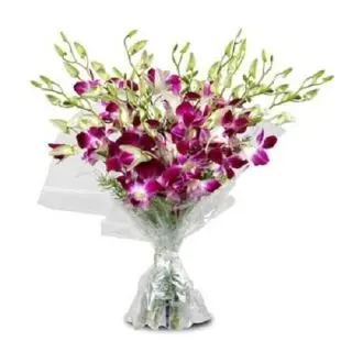 Bunch of 10 lavender orchids
