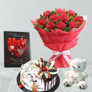 Bunch of 12 red carnations, half kg choco vanilla cake, 6 inch white teddybear, valentine greeting card 