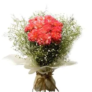 Bunch of 15 orange carnations