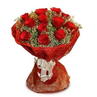 bunch of 15 red roses