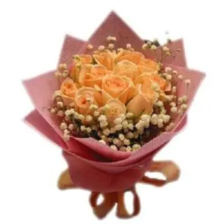 Bunch of 20 Orange roses