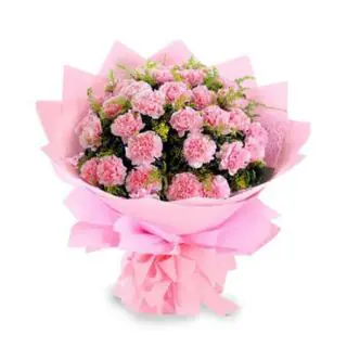 Bunch of 30 pink carnations 