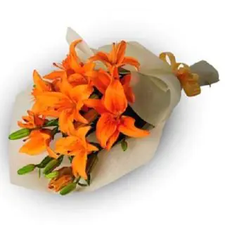 bunch of 5 Orange lilies