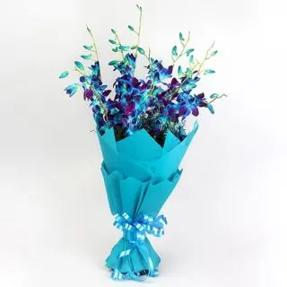 Bunch of 8 blue orchids 