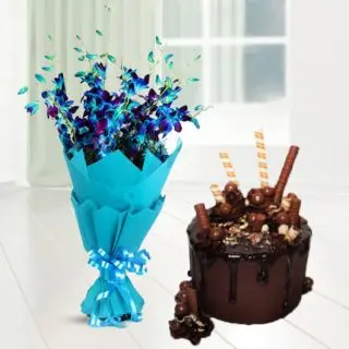 Bunch of 8 blue orchids with chocolate explosion cake 