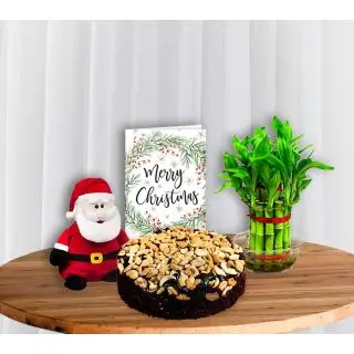 Cashew Plum cake , santa clause, 2 layer lucky bamboo with christmas greeting card