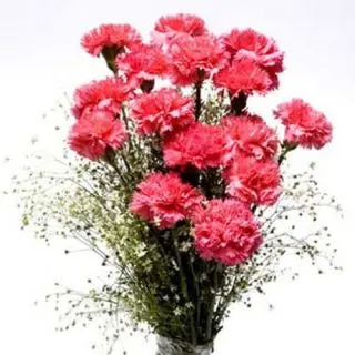 Cute Desire- Beautiful hand bouquet of 15 pink carnations