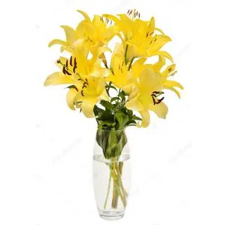 8 yellow lilies in glass vase