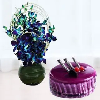 Designer vase arrangement of 10 blue orchids with Half kg black currant cake