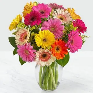 15 mix gerberas in vase