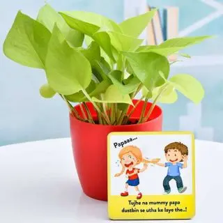 Evergreen Money Plant for Evergreen Sibling Bond
