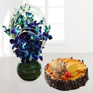 Exclusive vase arrangement of 10 blue orchids with irish chocolate cool cake 