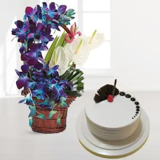 Exotic Basket arrangement of 10 blue orchids with 3 white anthuriums with vanilla cool cake 