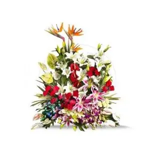Exotic flower arrangement 