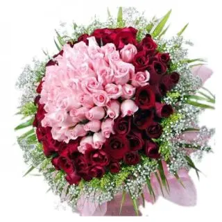 A Beautiful Bouquet Of 100 Red And Pink Roses