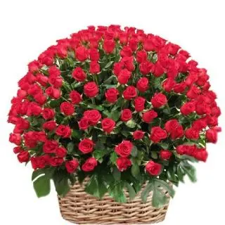 Exuberant feeling-100 dutch roses grand basket arrangement