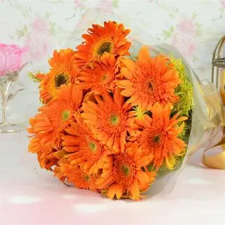 12 Orange Gerberas Bunch