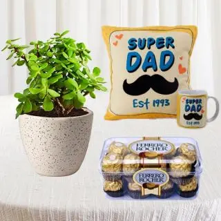 Jade plant in ceramic pot with 16 pcs rocher ferrero chocolates with photo mug and photo cushion 
