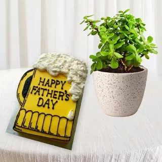 Jade plant in ceramic pot with 1 kg vanilla cake with fathers day theme 
