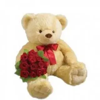Keep Smiling -Beautiful 15 inch teddy bear with 12 red roses bouquet