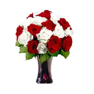 Kiss of nature-12 red and white roses arranged beautifully in glass vase