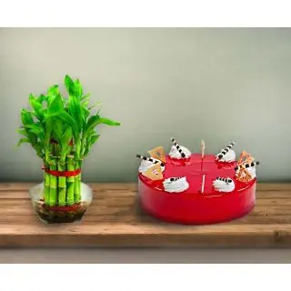 2  layer lucky bamboo plant with 1 pound  Strawberry cool cake