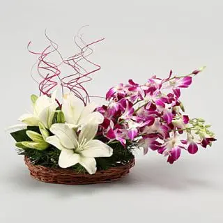 Arrangement of 10 orchids in lavender and white color