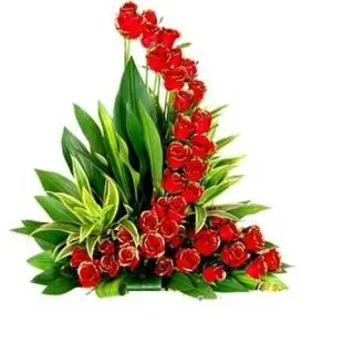 Love elegance...A rich looking L shape arrangement of 35 red roses