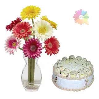 Mix colour gerberas arranged in glass vase with 1 kg vanilla fresh cream cake 