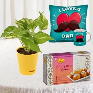 Money plant in pot, box of half kg motichoor laddu , photo cushion with photo mug 