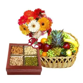 15 Mix Colour Gerberas with 1.5 kg Assorted Dry Fruits with 3 kg assorted fruits basket