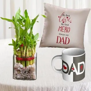photo cushion , photo mug with 2 layer lucky bamboo plant 