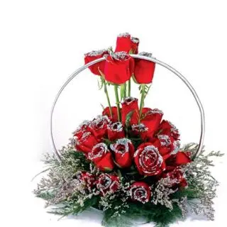 Ring shape  Designer arrangement of 25 red roses can be the best gift 