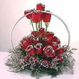 Ring Shape Arrangement of 25 Red Roses with silver