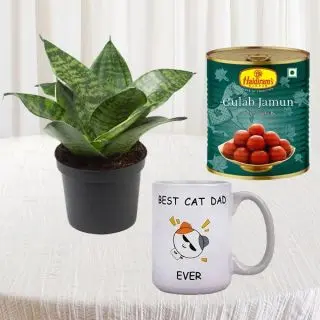 sansevieria plant in pit, 1 kg gulab jamun, with photo mug 