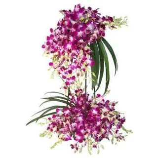 2 storey arrangement full of orchids with 2.5 feet height