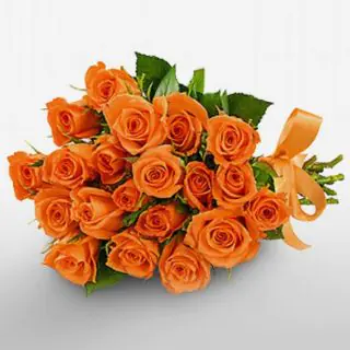 20 orange roses bunch 