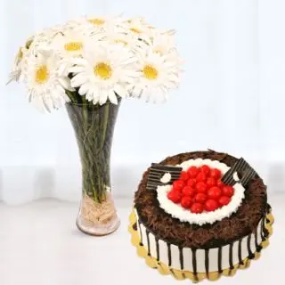 Tall Vase arrangement of 10 white gerberas with black forest cool cake 