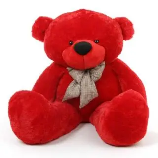 2 Feet Red Teddy Bear