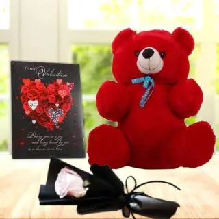 valentine Single white  Rose with 3 feet height red teddybear with valentine day card 