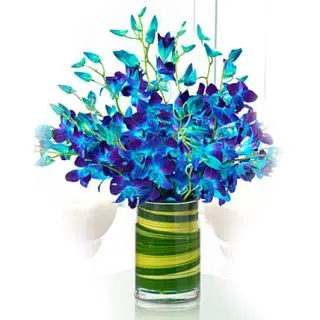 Vase Arrangement of 10 blue orchids 