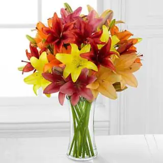 Vase Arrangement of 10 lilies in mix colour 