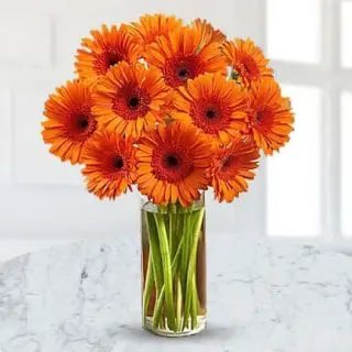 Vase Arrangement of 10 orange roses 