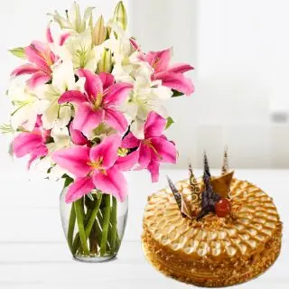 Vase arrangement of 10 pink and white lilies with butterscotch premium quality cake 